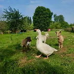 Cote Fleurie, 2 A 4 Personnes, La Ferme De Valambray