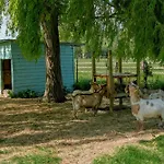 度假居 Cote Fleurie, 2 A 4 Personnes, La Ferme De Valambray