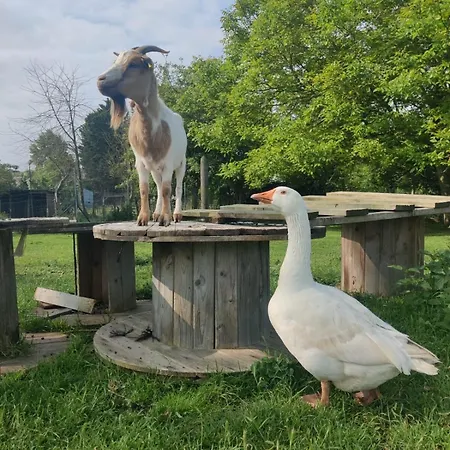 Côte Fleurie, 2 à 4 Personnes, La Ferme De *