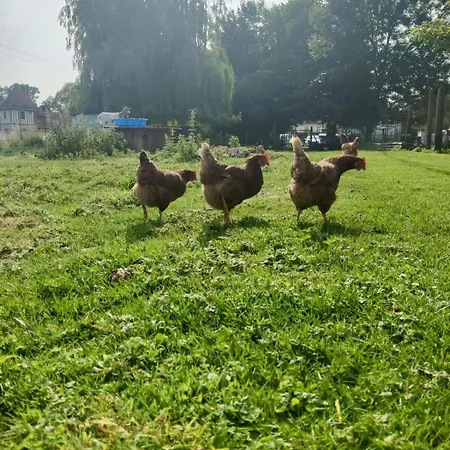 Casa vacanze Côte Fleurie, 2 à 4 Personnes, La Ferme De *