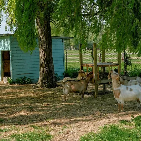 Feriehus Cote Fleurie, 2 A 4 Personnes, La Ferme De Valambray