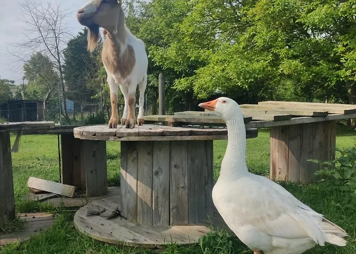 Cote Fleurie, 2 A 4 Personnes, La Ferme De *