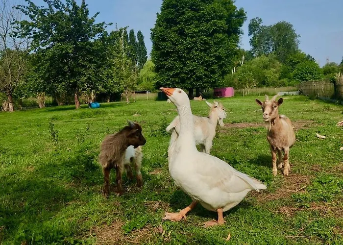 Cote Fleurie, 2 A 4 Personnes, La Ferme De Valambray